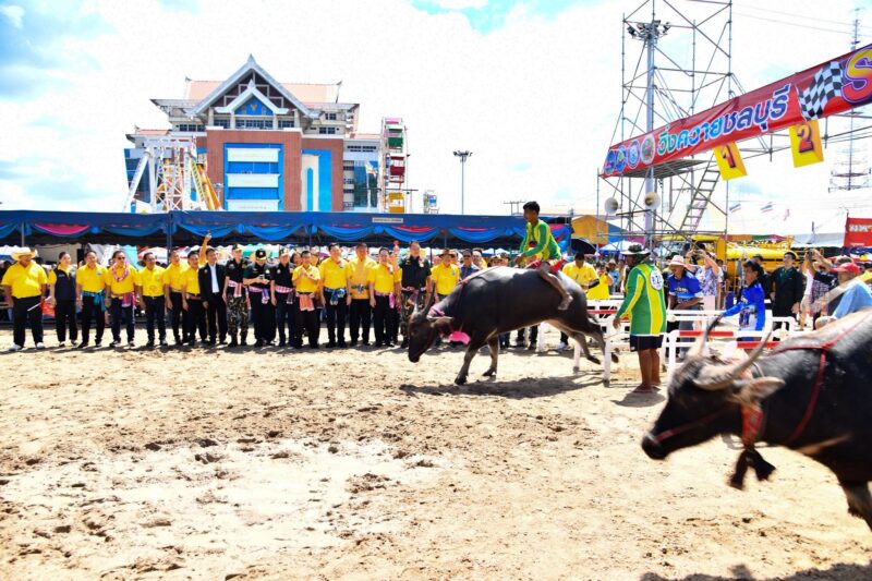 รองนายกฯสุชาติ” เปิดวิ่งควาย ชลบุรีครั้งที่ 154 “หนึ่งเดียวในไทย หนึ่งเดียวในโลก”