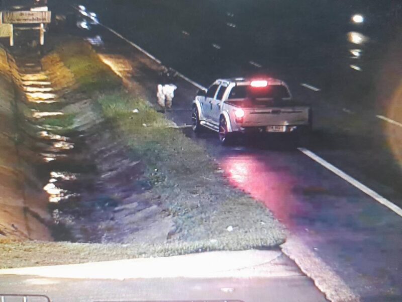 กอ.รมน.ภาค 4 สน. เร่งติดตามคนร้ายใช้อาวุธปืนปล้นร้านทองในห้างบิ๊กซี อ.สุไหงโกลก จ.นราธิวาส คาดมีการวางแผนล่วงหน้า