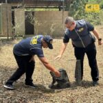 ยึดหมีขอสัตว์ป่าคุ้มครองในอาคารร้าง พบถูกขังล่ามโซ่ทิ้งไว้ที่นราธิวาส